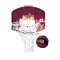 NBA Team Mini Hoop Cleveland Cavaliers