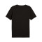 Camisola Puma The Hooper Tee 2