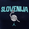 Jordan Kids Slovenian National Team 2024 T-Shirt