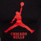 Camiseta Jordan Chicago Bulls Essential Jumpman Niño