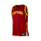 Camiseta Nike Selección de España Limited Jersey Road 2024 Mujer