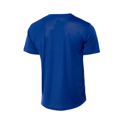 Camiseta Selección de Grecia Training 2024
