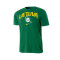 Camiseta Nike Selección de Lituania Fanswear 2024