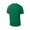 Camiseta Nike Selección de Lituania Fanswear 2024