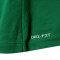 Camiseta Nike Selección de Lituania Fanswear 2024