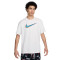 Camiseta Nike Lebron Swoosh Logo