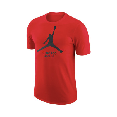 Camiseta Chicago Bulls Essential Jumpman