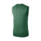 Jordan Sin Mangas Boston Celtics Essential T-Shirt