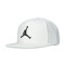 Jordan Jumpman Pro Ajustable Cap