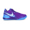 Zapatillas Nike Zoom Lebron NXXT Gen Ampd