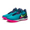 Chaussures Nike Zoom Lebron NXXT Gen Ampd South Beach