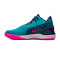 Chaussures Nike Zoom Lebron NXXT Gen Ampd South Beach