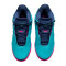 Sapatilhas Nike Zoom Lebron NXXT Gen Ampd South Beach