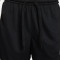 Nike Fly Crossover Shorts