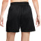 Nike Dri-Fit Isofly Mujer Shorts