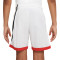 Short Nike Dri-Fit Basketball