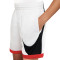 Short Nike Dri-Fit Basketball