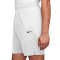 Short Nike Dri-Fit Icon 8"