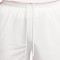 Nike Dri-Fit DNA 8" Shorts