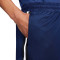 Nike Dri-Fit DNA 8" Shorts
