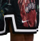 Pantalón corto Nike Lebron James Dri-Fit DNA 8"