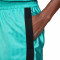 Pantaloncini Nike Lebron James X LFC DNA