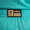 Pantalón corto Nike Lebron James X LFC DNA