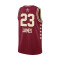 Camiseta Nike All Star Weekend Swingman Jersey Lebron James 2024