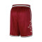 Jordan All Star Weekend Dri-Fit Swingman T1 2024 Shorts