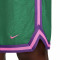 Pantalón corto Nike Giannis