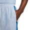 Nike Giannis Shorts