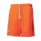 Pantalón corto Nike WNBA Standard Issue