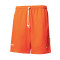 Pantaloncini Nike WNBA Standard Issue