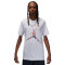 Camiseta Jordan Brand Watercolor Crew