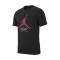 Camiseta Jordan Jumpman Flight