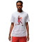 Camiseta Jordan Flight Essential Gfx Crew