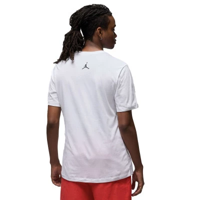 Camiseta Flight Essential Gfx Crew