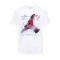 Camiseta Jordan Air 2 3D Niño