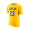 Camiseta Nike Los Angeles Lakers Icon Edition Lebron James