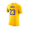Camiseta Nike Los Angeles Lakers Icon Edition Lebron James