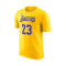 Camiseta Nike Los Angeles Lakers Essential Icon Edition Lebron James