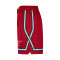 Nike Chicago Bulls Training Shorts