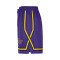 Pantalón corto Nike Los Angeles Lakers Training