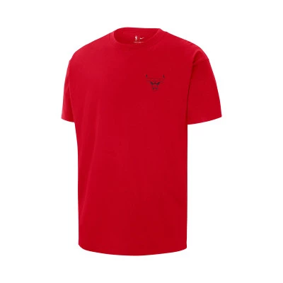 Chicago Bulls Essential Max90 T-Shirt