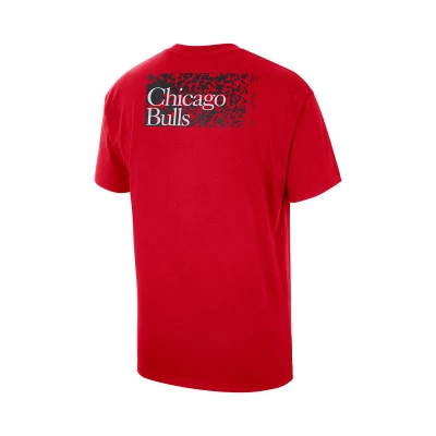 Chicago Bulls Essential T-Shirt