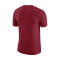 Nike Miami Heat Essential Logo T-Shirt