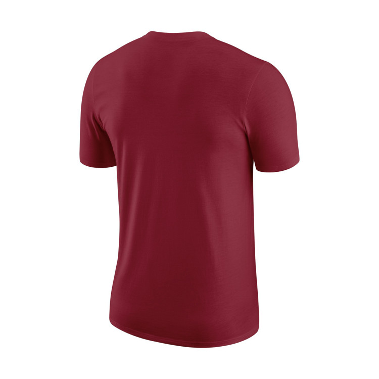 camiseta-nike-miami-heat-essential-tough-red-1