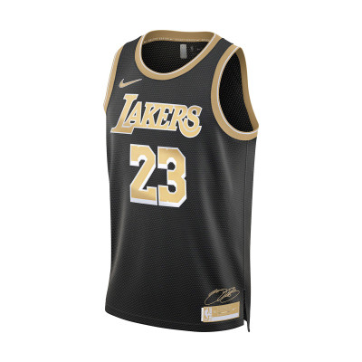 Camiseta Los Angeles Lakers Select Series NBA Lebron James