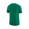 Nike Boston Celtics Essential Club T-Shirt