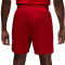 Jordan Dri-Fit Sport Mesh Shorts